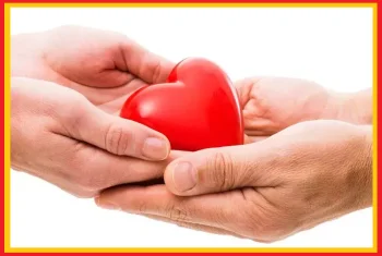 India Launches National Organ Donation Registry to Boost Transparency and Save Lives National Organ Donation Registry